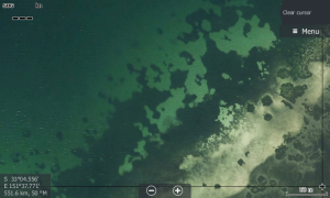 Finding scattered weed among the sand flats easily found.